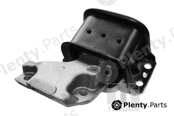 Tedgum 00511756 — Mounting, engine