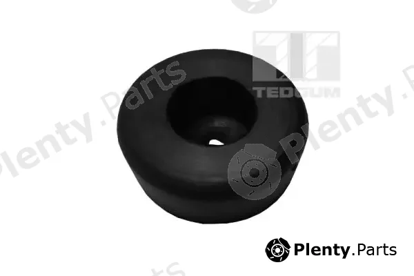 Tedgum 00391195 — Mounting, control/trailing arm