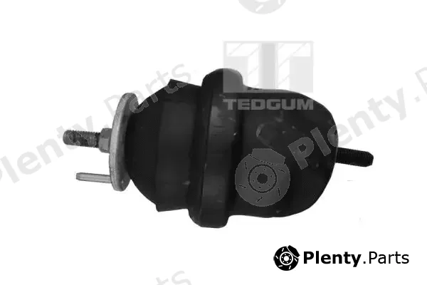 Tedgum 00231030 — Mounting, engine