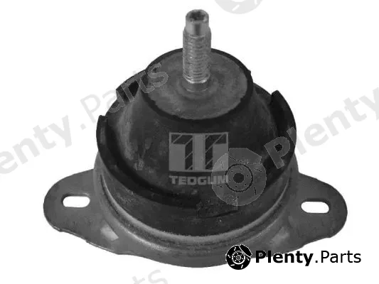 Tedgum 00214163 — Mounting, engine
