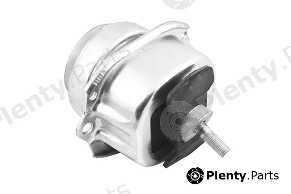 Tedgum TED47690 — Mounting, engine