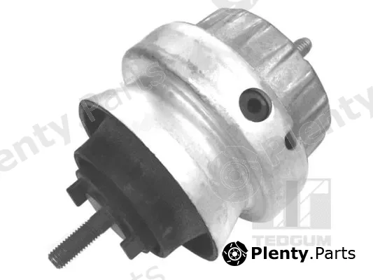 Tedgum 00056444 — Mounting, engine