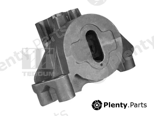 Tedgum 00219484 — Mounting, engine