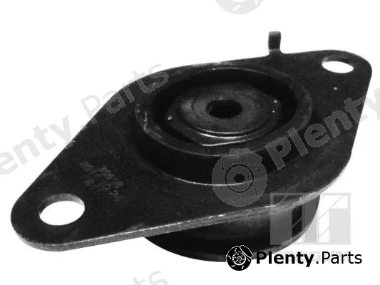 Tedgum 00585993 — Mounting, engine