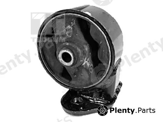 Tedgum 00280450 — Mounting, engine