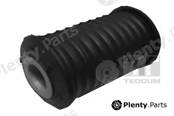 Tedgum 00587374 — Mounting, leaf spring