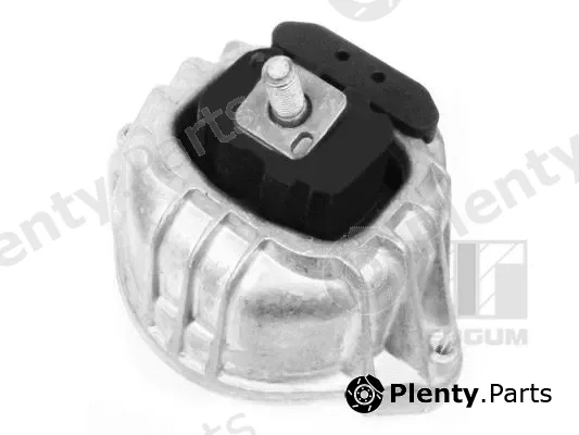 Tedgum 00088417 — Mounting, engine