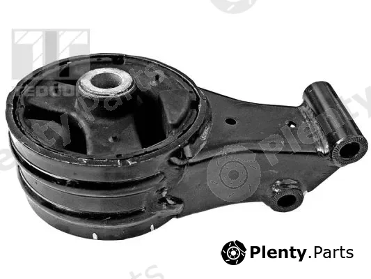 Tedgum 00505950 — Mounting, engine