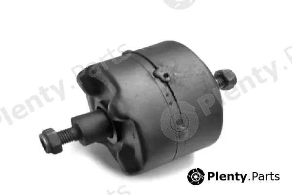 Tedgum 00745556 — Mounting, engine