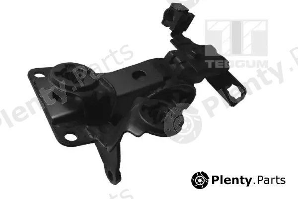 Tedgum 00461048 — Mounting, engine