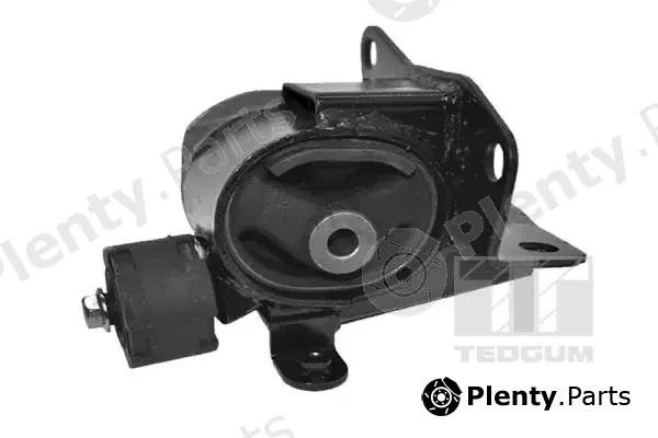 Tedgum TED49093 — Mounting, engine
