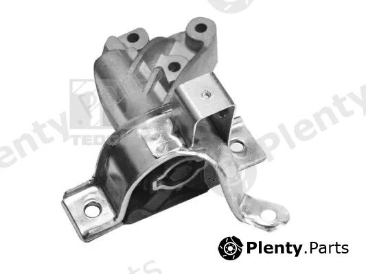 Tedgum 00219260 — Mounting, engine