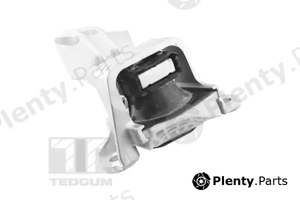 Tedgum TED81471 — Mounting, engine