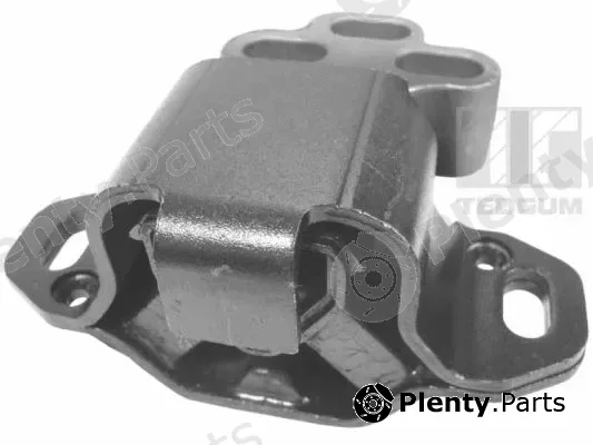 Tedgum 00224363 — Mounting, engine
