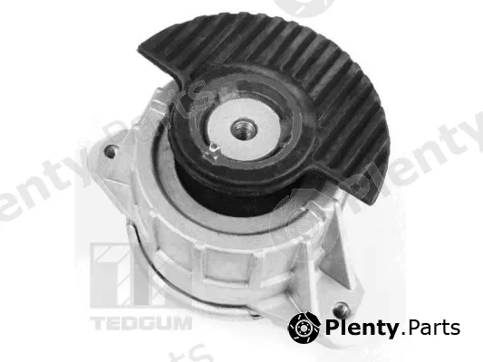 Tedgum 00418476 — Mounting, engine