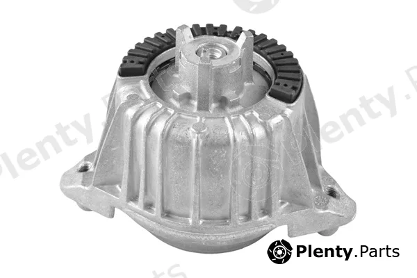 Tedgum TED83830 — Mounting, engine