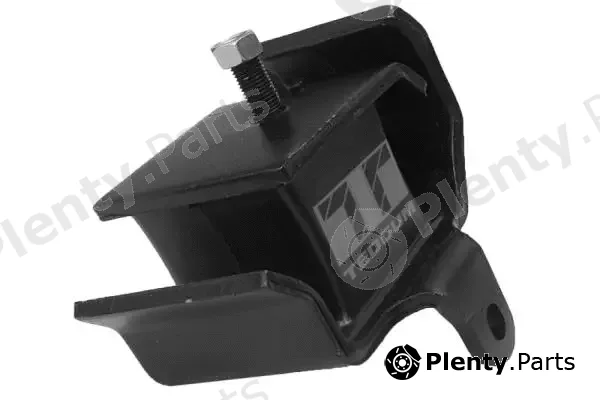 Tedgum 00463837 — Mounting, engine