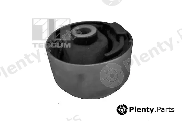 Tedgum 00406563 — Mounting, engine