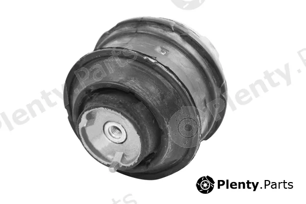 Tedgum TED21219 — Mounting, engine