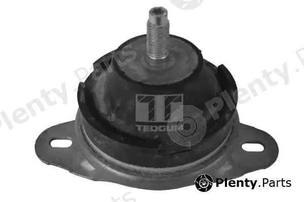 Tedgum 00514176 — Mounting, engine