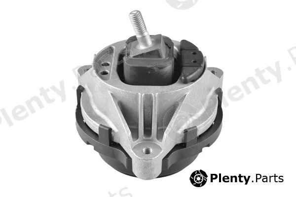 Tedgum TED27306 — Mounting, engine