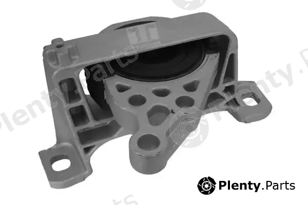 Tedgum 00391638 — Mounting, engine