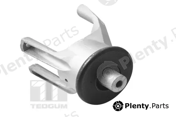 Tedgum 00725748 — Mounting, engine