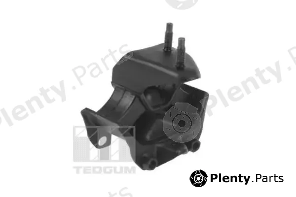 Tedgum 00262590 — Mounting, engine