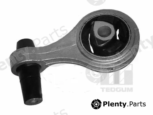 Tedgum 00216208 — Mounting, engine