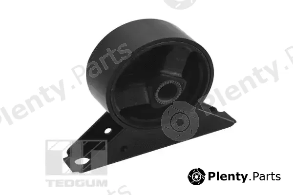 Tedgum 00747718 — Mounting, engine