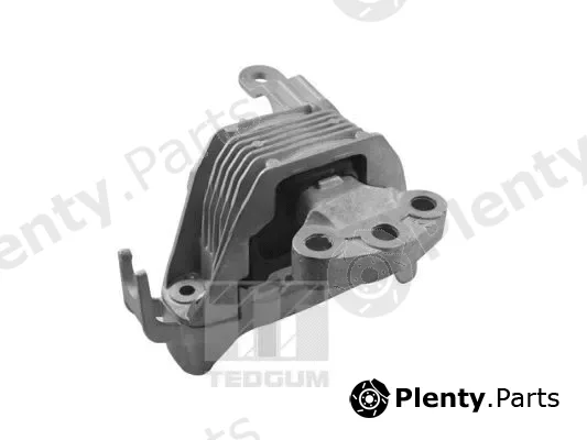 Tedgum TED86251 — Mounting, engine