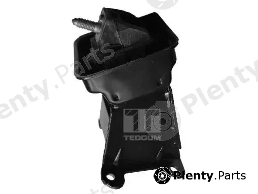 Tedgum 00223065 — Mounting, engine
