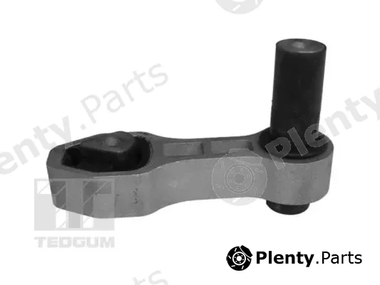 Tedgum TED43099 — Mounting, engine