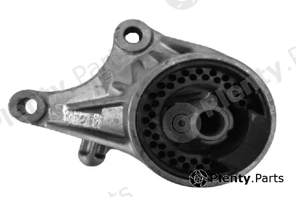 Tedgum 00505963 — Mounting, engine