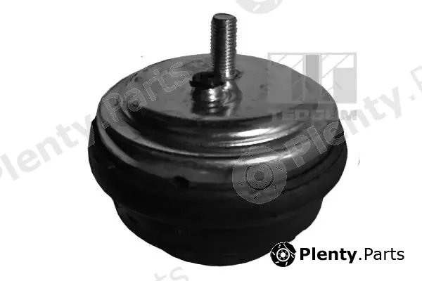 Tedgum 00080395 — Mounting, engine