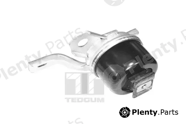 Tedgum TED40730 — Mounting, engine