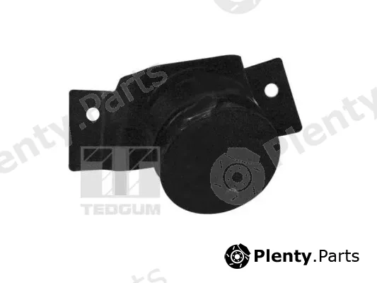Tedgum 01109649 — Mounting, engine