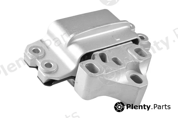 Tedgum TED82743 — Mounting, engine