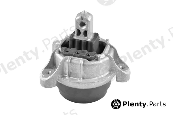 Tedgum TED42513 — Mounting, engine
