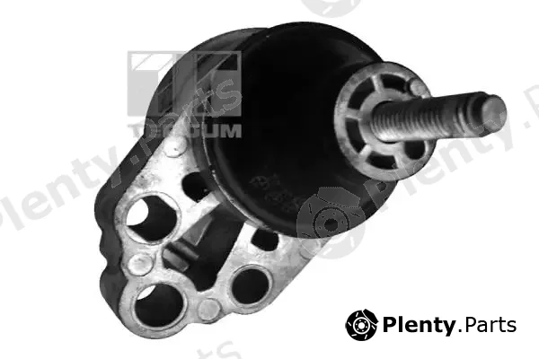 Tedgum 00226305 — Mounting, engine