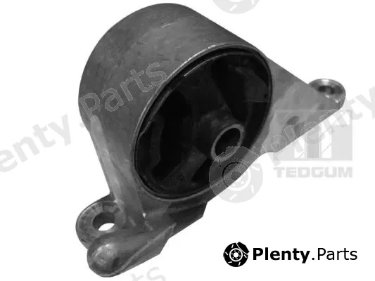 Tedgum 00715427 — Mounting, engine