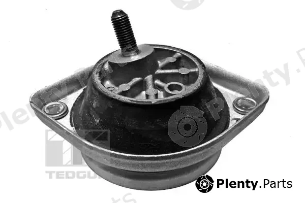 Tedgum 00089801 — Mounting, engine