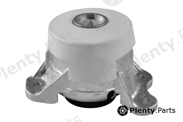 Tedgum TED46349 — Mounting, engine