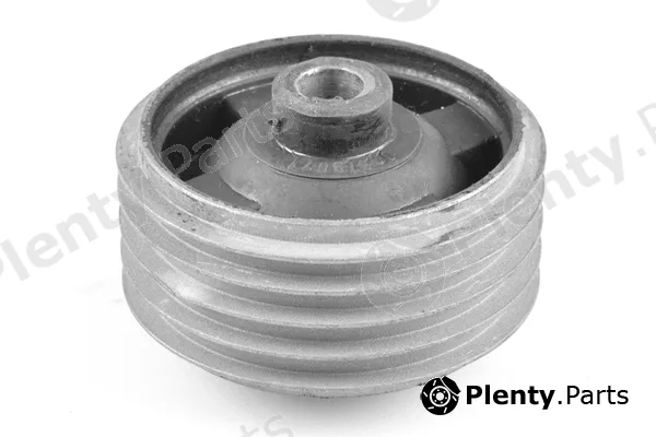 Tedgum 00673071 — Mounting, engine