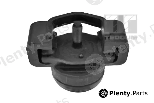 Tedgum 00396686 — Mounting, engine