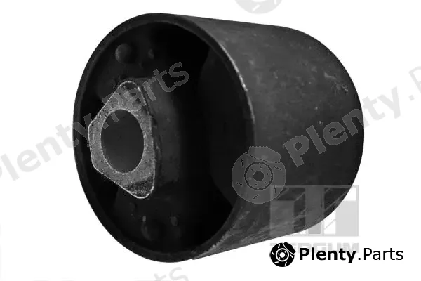Tedgum 00088653 — Mounting, control/trailing arm
