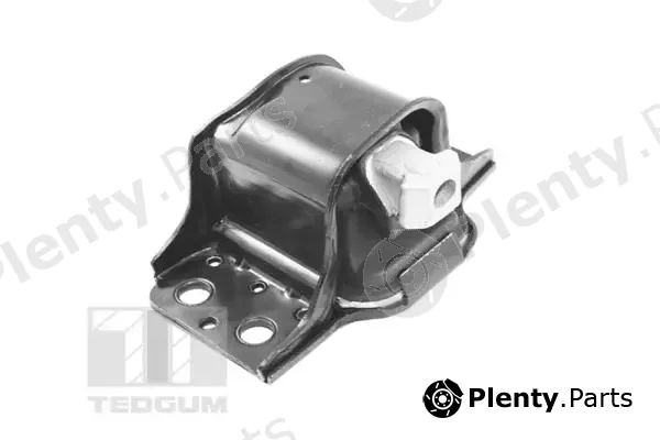 Tedgum TED42243 — Mounting, engine