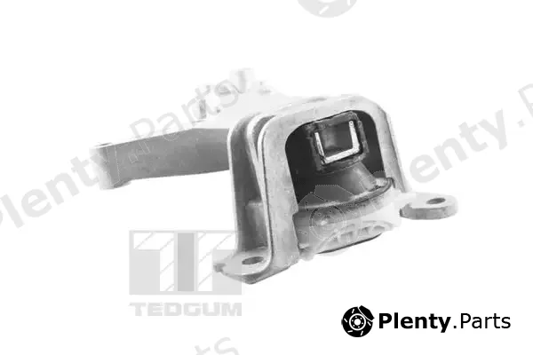 Tedgum TED61737 — Mounting, engine