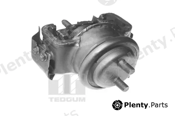 Tedgum 00395115 — Mounting, engine