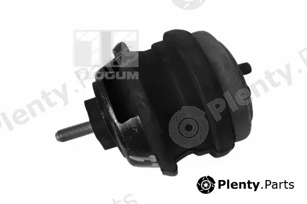 Tedgum 00089478 — Mounting, engine